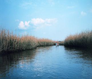 photo of canoe on marsh